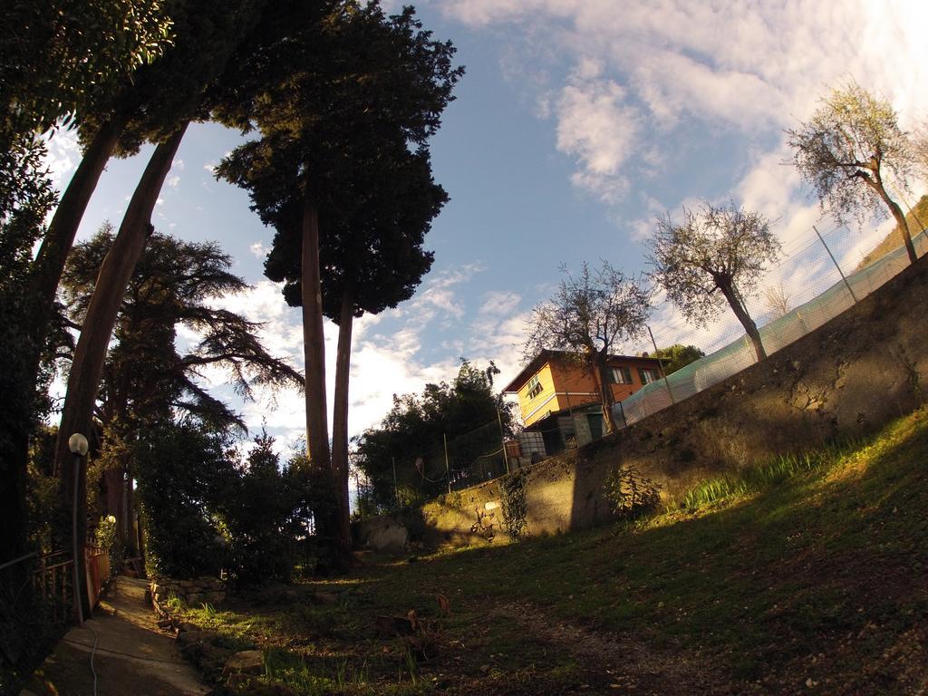 Bed & Breakfast Il Cedro