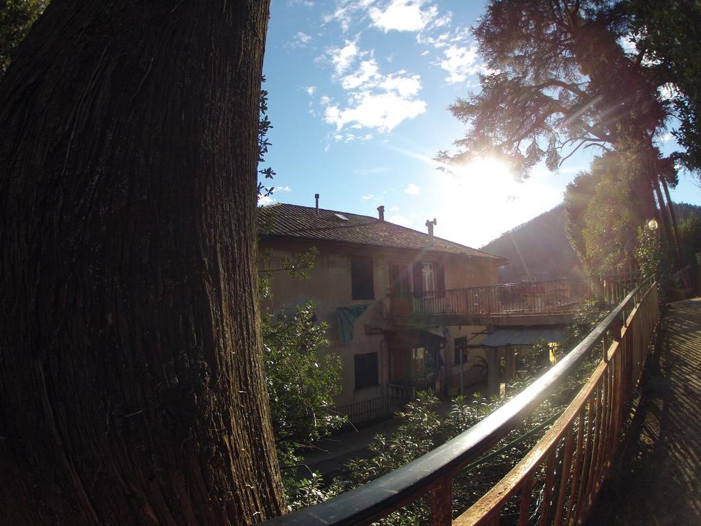 Il Cedro Bed & Breakfast Genoa