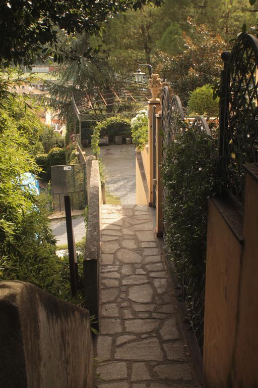 Il Cedro Bed & Breakfast