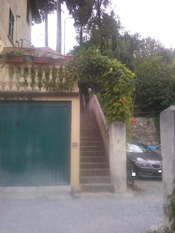 Il Cedro Bed & Breakfast Genoa